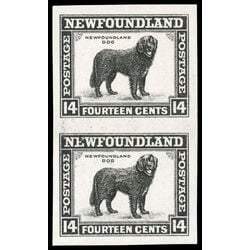 newfoundland stamp 261a newfoundland dog 14 1944 M VF 001