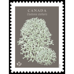 canada stamp 3502 cladonia stellaris 2025