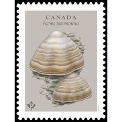canada stamp 3505 fomes fomentarius 2025