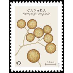 canada stamp 3506 rhizophagus irregularis 2025