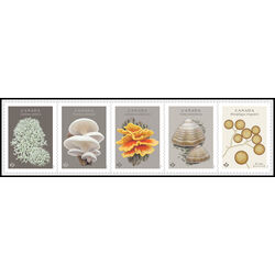 canada stamp 3502 6 strip fungi 2025