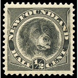 newfoundland stamp 58 newfoundland dog 1894