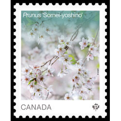 canada stamp 3528a prunus somei yoshino 2026