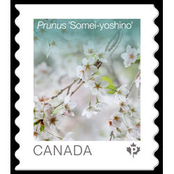canada stamp 3529 prunus somei yoshino 2026