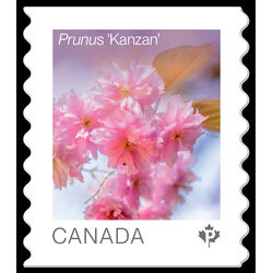 canada stamp 3530 prunus kanzan 2026