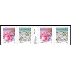 canada stamp 3530ii cherry blossoms 4 96 2026