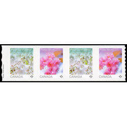 canada stamp 3530ii cherry blossoms 4 96 2026 M VFNH END