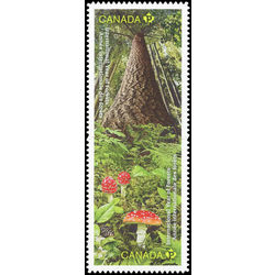 canada stamp 2463i forest floor mushrooms tree 2011