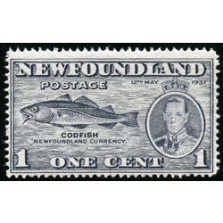 newfoundland stamp 233i codfish 1 1937