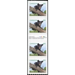 canada stamp 2607i black bear 2013