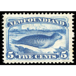 newfoundland stamp 55 harp seal 5 1894 M VFNH 001