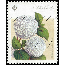 canada stamp 2900i hydrangea arborescens 2016