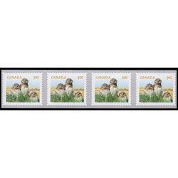 canada stamp 2710 burrowing owl 1 00 2014 m vfnh strip 4