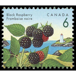 canada stamp 1353 black raspberry 6 1992