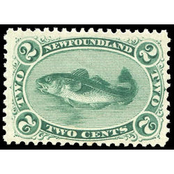 newfoundland stamp 24 codfish 2 1871 m vfog 004