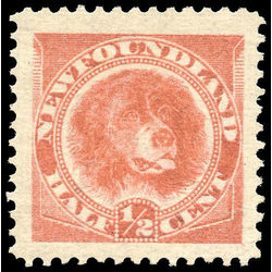 newfoundland stamp 56 newfoundland dog 1887 m vf 001