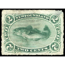 newfoundland stamp 38 codfish 2 1879 u vf 004