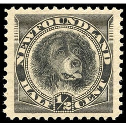 newfoundland stamp 58 newfoundland dog 1894