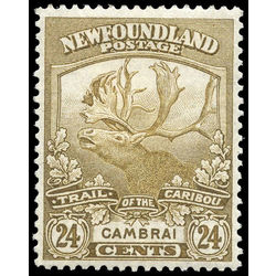newfoundland stamp 125 cambrai 24 1919
