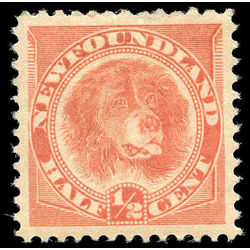 newfoundland stamp 57 newfoundland dog 1896