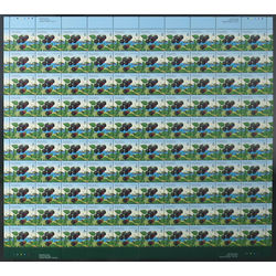canada stamp 1353 black raspberry 6 1992 M PANE VARIETY