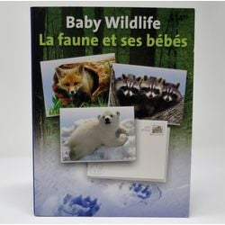 baby wildlife notecard set