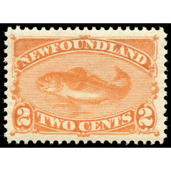 newfoundland stamp 48b codfish 2 1887