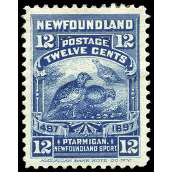newfoundland stamp 69i willow ptarmigan 12 1897