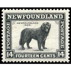 newfoundland stamp 194 newfoundland dog 14 1932