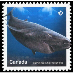 canada stamp 3108 greenland shark 2018