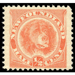 newfoundland stamp 57 newfoundland dog 1896 m vfnh 004