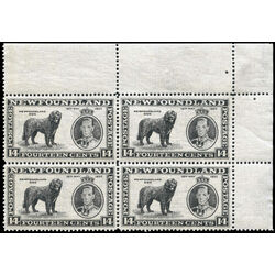 newfoundland stamp 238 newfoundland dog 14 1937 m vfnh 002