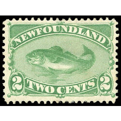 newfoundland stamp 47 codfish 2 1896 m vf 003