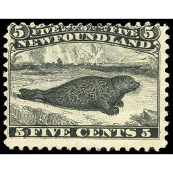 newfoundland stamp 26iii harp seal 5 1866