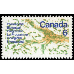 canada stamp 507 interior of a leaf 6 1970