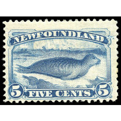 newfoundland stamp 55 harp seal 5 1894 m f 006