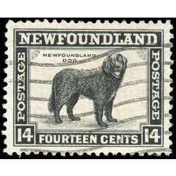 newfoundland stamp 261 newfoundland dog 14 1944 u vf 001
