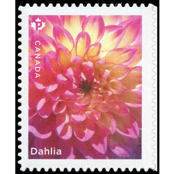 canada stamp 3237 dahlia single pink flower 2020