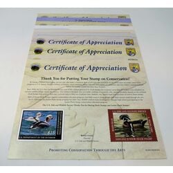 united states certificate of appreciation
