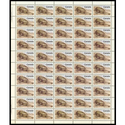 canada stamp 813 spiny soft shelled turtle 17 1979 M PANE VARIETYI III