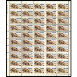canada stamp 813 spiny soft shelled turtle 17 1979 M PANE VARIETYI III