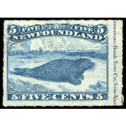 newfoundland stamp 40 harp seal 5 1876 M VF NG 018