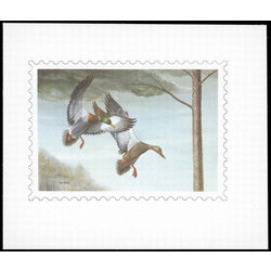 us stamp rw hunting permit rw ky1 kentucky mallards 5 25 1985 PROOF