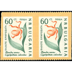 bulgaria stamp 1111 lady s slipper 1960