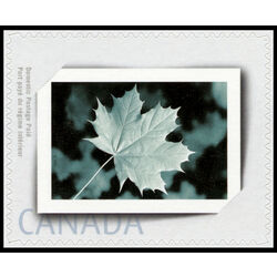 canada stamp 2064 picture frame 49 2004