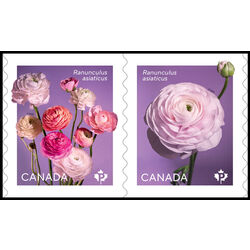 canada stamp 3374a ranunculus 2023