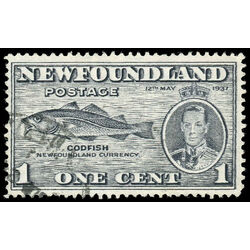 newfoundland stamp 233 codfish 1 1937 U VF 006