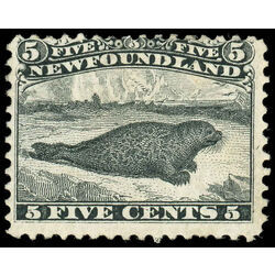 newfoundland stamp 26 harp seal 5 1866 M FOG 018