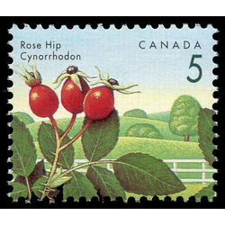 canada stamp 1352 rose hip 5 1992