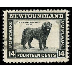 newfoundland stamp 261 newfoundland dog 14 1944 U F 003
